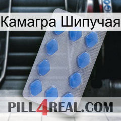 Камагра Шипучая 21